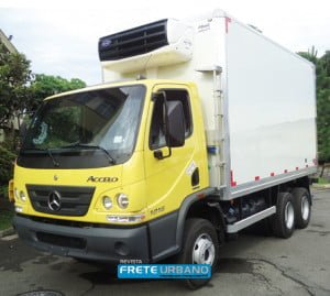 Baús refrigerados: frescor na mesa de casa