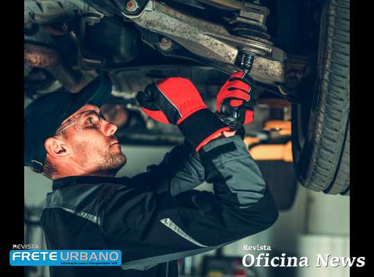 Especialista orienta como manter o coxim em bom estado