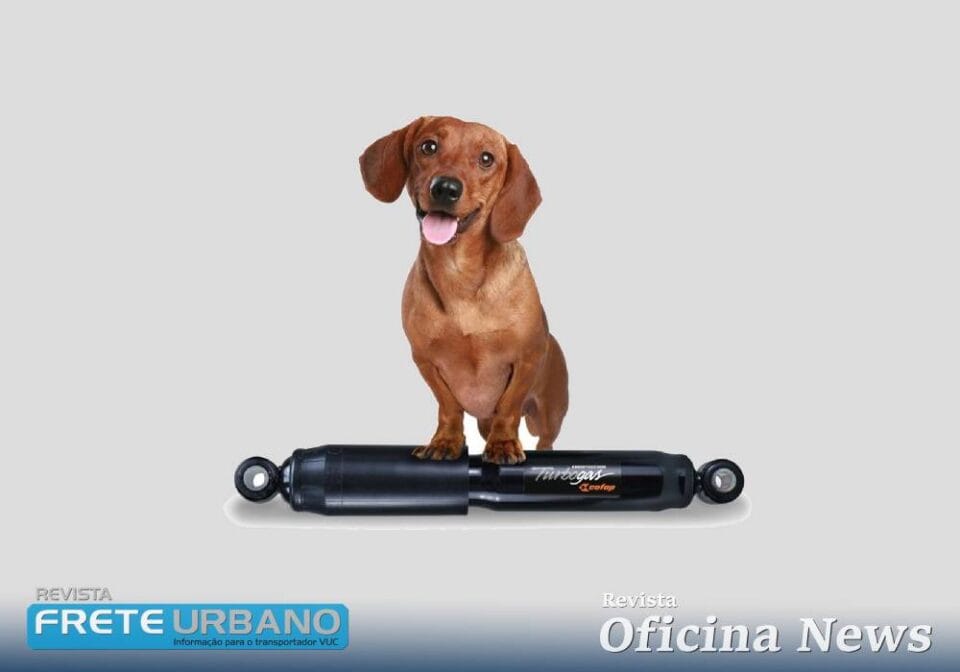 Cofap realiza testes de amortecedores com Shocktester